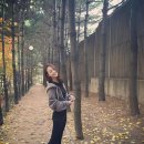 손여은 카카오 검색결과