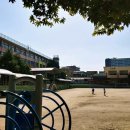 탄리로31번길+제일로124번길 네이버블로그