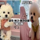 댕그레 이미지