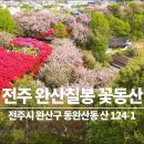 🌺 완산칠봉꽃동산 드론영상 🌺 4월의명소 전주꽃동산 [ 전국명소탐방70 ] 이미지