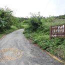 섬나라굼