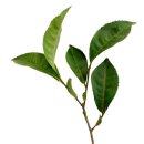 신세계카페 | [홍대 카페] 🌾 오트밀 음료의 신세계! 카페 옥쯔(okkz) 방문 후기