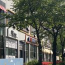 원주더봄동물의료센터 | 원주동물병원추천 더봄동물의료센터 : 불테리어 피부병