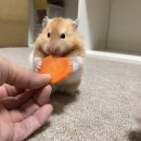 당근PC방 이미지