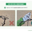나무&숲장식