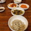 보리밥손칼국수