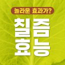 9 | 칡즙 효능 9가지 후기