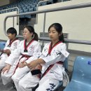 금일 태권도장 이미지