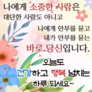 ✨️ 당신의 안부 ✨️ 이미지