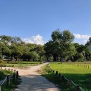 성주 한개마을, 500년 역사의 성산 이씨 전통 고택 마을