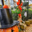 금화안경 이미지