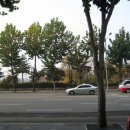 박지연명품생태 이미지