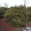 솔내음농장 이미지