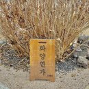 화양연가 스테이 이미지
