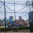 현대부동산중개 이미지