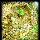 연동농장 이미지