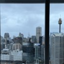 굿모닝세탁하우스 | 아기랑 호주 여행 - Day 5 / 시드니 스냅 후기, 시드니 천문대 오페라하우스 시드니 스냅 촬영 포인트...