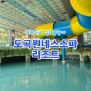 도곡원네스 스파,리조트 | 광주근교 실내물놀이 화순 도곡원네스스파리조트 내돈내산 후기