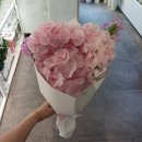 심플 수국 꽃다발 만들기