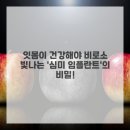 부산심미 | 잇몸 건강부터 완벽 변신! 자신감 되찾아준 '심미 임플란트' 솔직 후기!