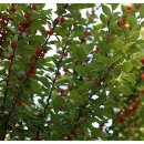 라원농장 이미지