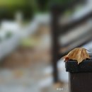 고잔역에서 - by 박알미 이미지