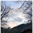 파인빌펜션 | 가평글램핑 봄 글램핑 분위기 제대로 느끼고 싶다면 여기 어떠세요 :)