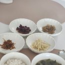 해피지사 | 진해산후도우미 해피케어 창원지사 부른후기