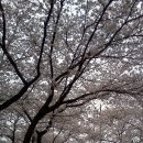 용연사길 이미지