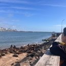 효정민박 이미지