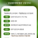 비채2 이미지