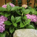 의신중학교 이미지