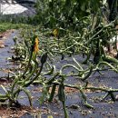 논미2리 이미지