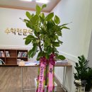 더쌤수학