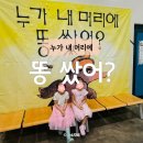 방방곡곡-누가 내 머리에 똥 쌌어? | 누가 내 머리에 똥 쌌어 뮤지컬 - KBS 수원아트홀 좌석 주차 할인 꿀팁