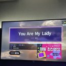 양도둑동탄