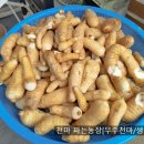 재선농장 이미지