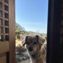 달빛한옥 이미지