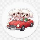 수창카,바른차를만드는사람들 | 🚗 벤볼릭 레더솔루션: 낡은 자동차 가죽, 새것처럼 되살린 리얼 후기