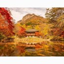 무 진 정 이미지