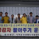 상인보성 이미지