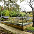 대구 달성 삼가헌 (06) - 중용을 지키며 산다 (2024.11.10.)