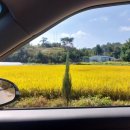 하당1리 이미지