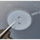 장성자동차서비스 | 광주자동차유리복원 캐스퍼 돌빵 용접 후기