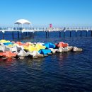 대진5리해변 이미지