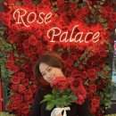 로즈 팰리스(Rose Palace)