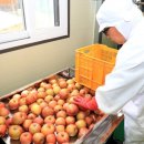 삼성농원 이미지