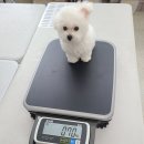 주식회사 오월 이미지