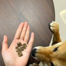 UR(오산시)-[가장산업동로]-하-5 | [포토덤프챌린지] 7월의 넷째 주🐶