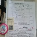 녹산보건지소 | 2024년 임신부 무료 독감 예방접종 주사 후기